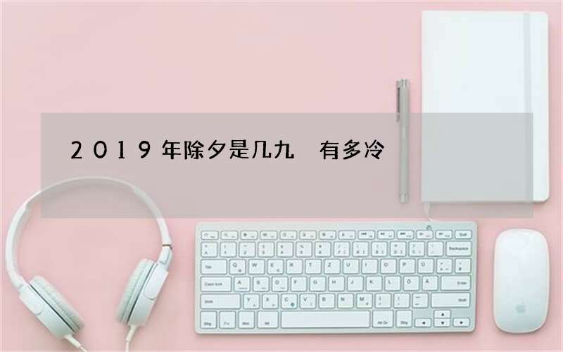 2019年除夕是几九 有多冷